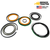 Hydraulic Dozer Blade Cylinder Seal Kit for Case CX145C SR