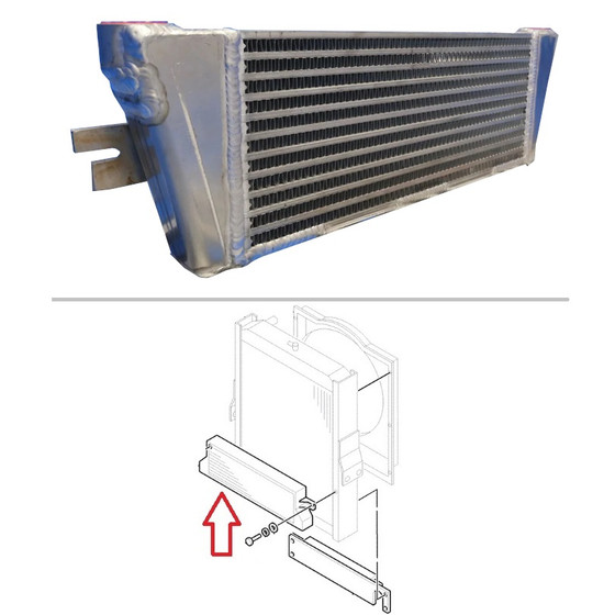 【はな】 デニム ドレス レディース サブカルチャー クール ホット ガール