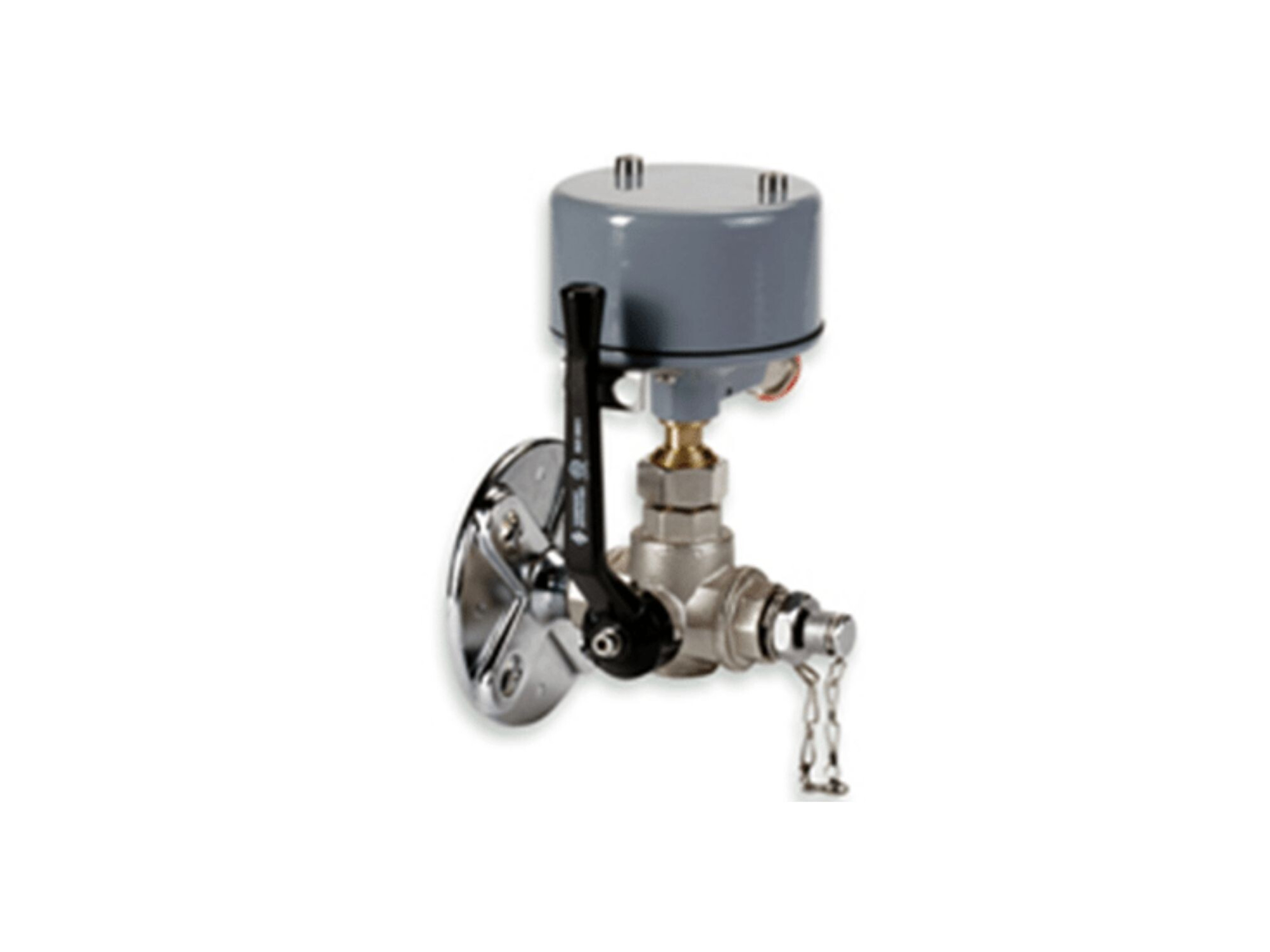 Side mounted bi-metal thermometers with temperature indication and resettable maximum temperature pointer.