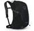 Osprey Hikelite 18 Hiking Backpack , Black 10001555