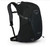 Osprey Hikelite 18 Hiking Backpack , Black 10001555