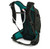 Osprey Raptor 14 Men's Bike Hydration Backpack , Cedar Green 10001873