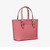 Michael Kors XS Carry All Jet Set Travel Womens Tote 35T9GTVT0L-ltbry