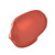 Colorescience Peptide Lip Shine SPF 30 - Savanna 0.13 Fl Oz