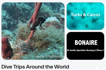 Dive Trips Around the World