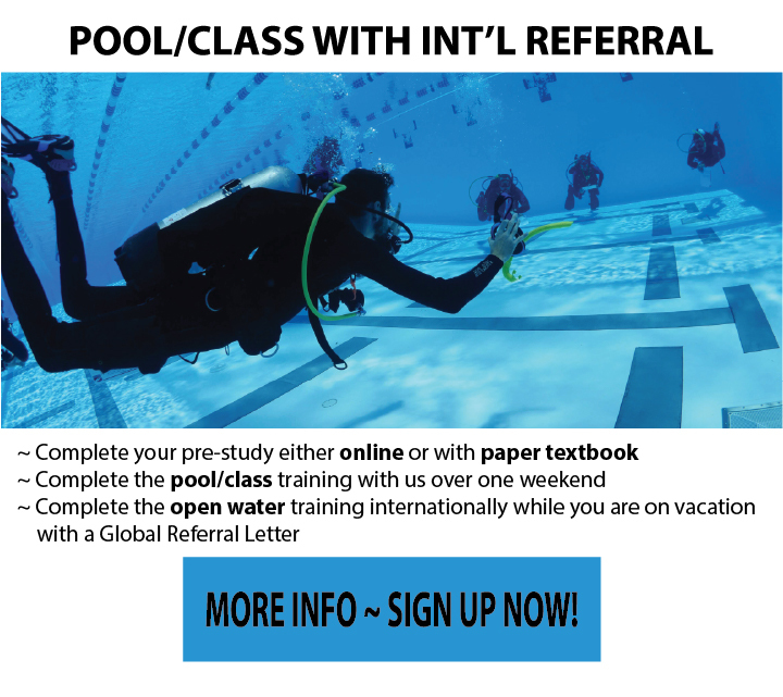 Learn to Scuba Dive Pool & Class