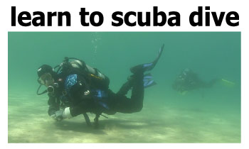 Shop Scuba Diving And Snorkeling Packages Online At Vancouver