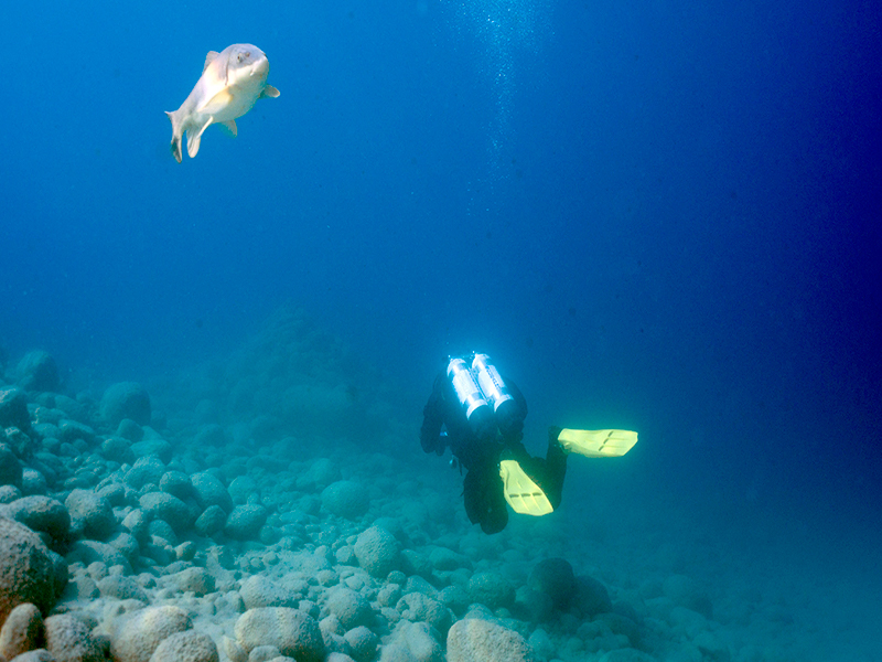 jasper-scuba-diving3-800x600.jpg