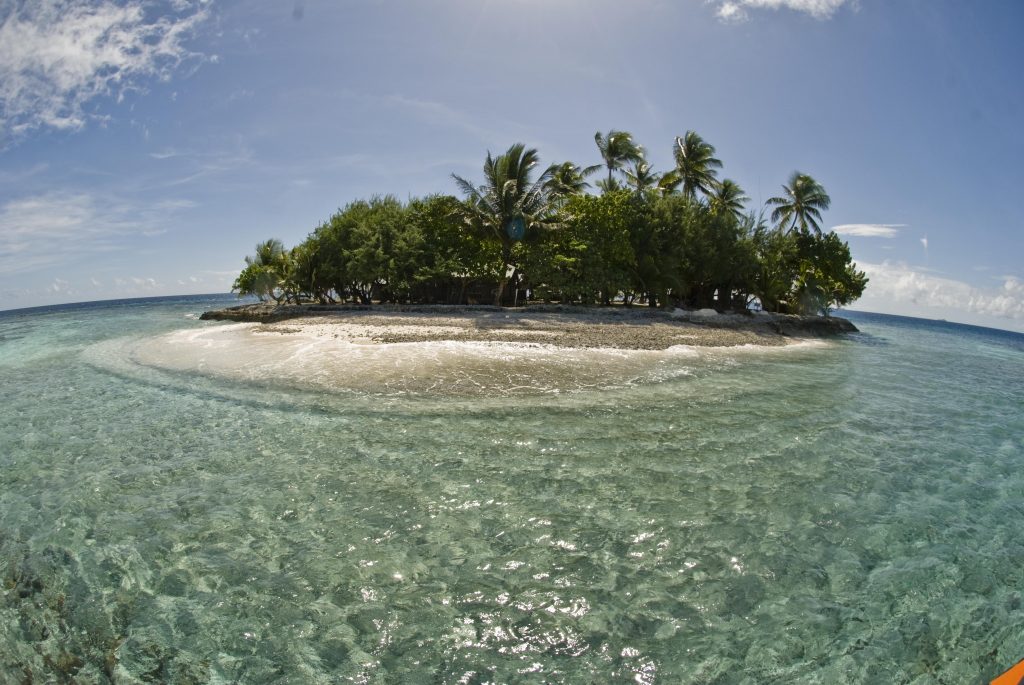 tat-fiji.jpg tat-fiji.jpg