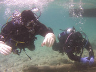 Hire a Divemaster to guide you at a local lake