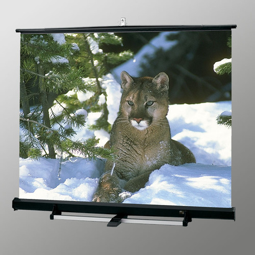 Draper Luma 2/R Portable Projection Screen