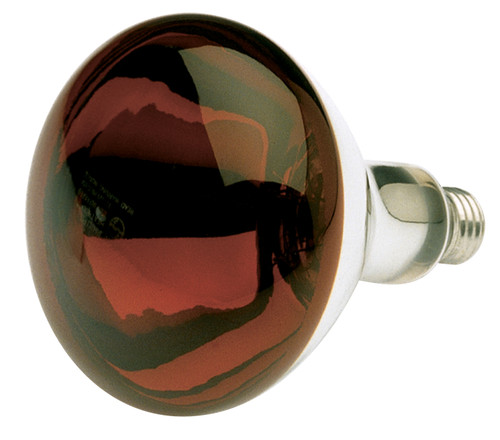 Satco S4884