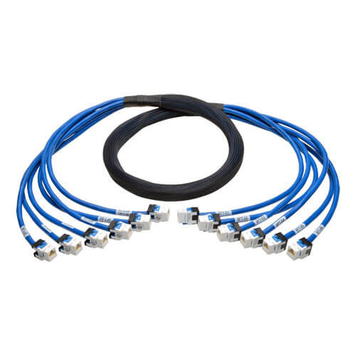 Tripp-Lite N261-006-6FF-BL Aug Cat6/Cat6a Pre-Terminated Copper Trunk Bundle 6xRJ45 F/F 6'