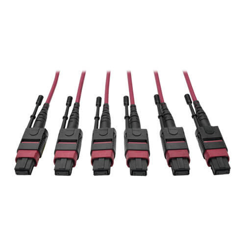Tripp-Lite N858-61M-3X8-MG 24-Fiber MTP MPO OM4 Base-8 MMF Trunk Cable 40/100GbE 3X, 61M