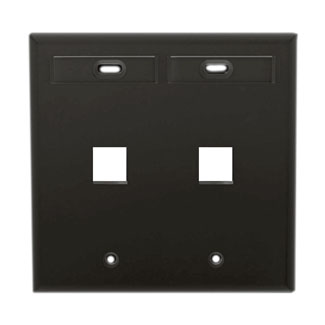 Leviton 42080-2EP Dual-Gang QuickPort Wallplate with ID Windows, 2-Port, Black