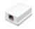 Vanco 820350 Ivory Single Surface Mount Housing