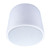Beale Street PESV-8W 8" White Pendant Speaker