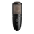 AKG P220 Studio Condenser Microphone