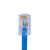 Simply45 S45-1000 Cat5e Unshielded Standard WE/SS RJ45 Plugs, 100 Pack
