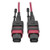 Tripp-Lite N845-01M-12-MG 1M MTP MPO Multimode Patch Cable 12 Fiber 40Gb OM4 50/ 125 CMP
