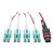 Tripp-Lite N845-01M-8L-MG 1M MTP MPO 8xLC 50/125 OM4 Fanout Patch Cable 12 Fiber 40GB CMP