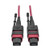 Tripp-Lite N845-15M-12-MG 15M MTP MPO Multimode Patch Cable 12 Fiber 40Gb OM4 50/ 125 CMP