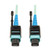 Tripp-Lite N846-03M-24-P MTP MPO Patch Cable Push Pull Tab 100GbE Aqua OM3 Plenum 3M 10Ft