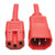 Tripp-Lite P018-003-ARD 3Ft Heavy Duty Power Extension Cord