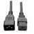 Tripp-Lite P036-010-15A Heavy Duty Power Extension Cord