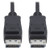 Tripp-Lite P580-001-V4 1Ft DisplayPort 1.4 Cable