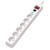 Tripp-Lite TLP6F18 Surge Protector Power Strip