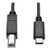 Tripp-Lite U040-006 6Ft USB 2.0 Hi-Speed Cable