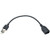 Tripp-Lite U052-06N-OTG-AM 6" USB 2.0 OTG Cable