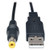 Tripp-Lite U152-003-M 3Ft USB to Type M Barrel 5V DC Power Cable