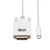 Tripp-Lite U444-010-DE 10Ft USB C to DVI Adapter Cable
