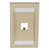 Panduit CFPE1EIY Mini-Com 1 Port Electric Ivory Faceplate