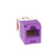 Panduit CJ5E88TGVL-24 Mini-Com UTP RJ45 Cat 5e TG Jack Module, Violet, 24 Pack