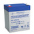 Power Sonic PG-12V6 F2 12V 5.4Ah Long Service Life VRLA Battery