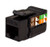 Vertical Cable 351-V2613/BK Black Cat5E Data Grade Keystone Jack