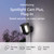 Ring Spotlight Cam Plus Plug-In - Black