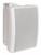 Lowell OS-100TW 6" Two-Way Indoor Outdoor Speaker