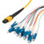 L-Com MPF12OS2-09LCR-10 Multi-Fiber Ribbon Cable