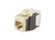 Panduit NK6X88MEI NetKey Cat6A Electric Ivory Keystone Jack