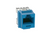 Panduit NKP5E88MBU Blue NetKey Cat5E Punchdown Jack