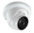 SES 2MP White IR Turret Camera