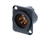 Neutrik NC4MD-LX-B 4 Pole Male Receptacle