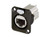 Neutrik NE8FDX-P6-B D-Shape Cat6A Panel Connector