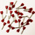 Eclipse 701-143 Red AWG 16x2 Twin 12mm Barrel Wire Ferrule, 500 Pack