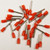 Eclipse 701-010 Orange AWG 20 10mm Barrel Wire Ferrule, 500 Pack