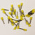 Eclipse 701-104 Yellow AWG 24 6mm Barrel Wire Ferrule, 500 Pack